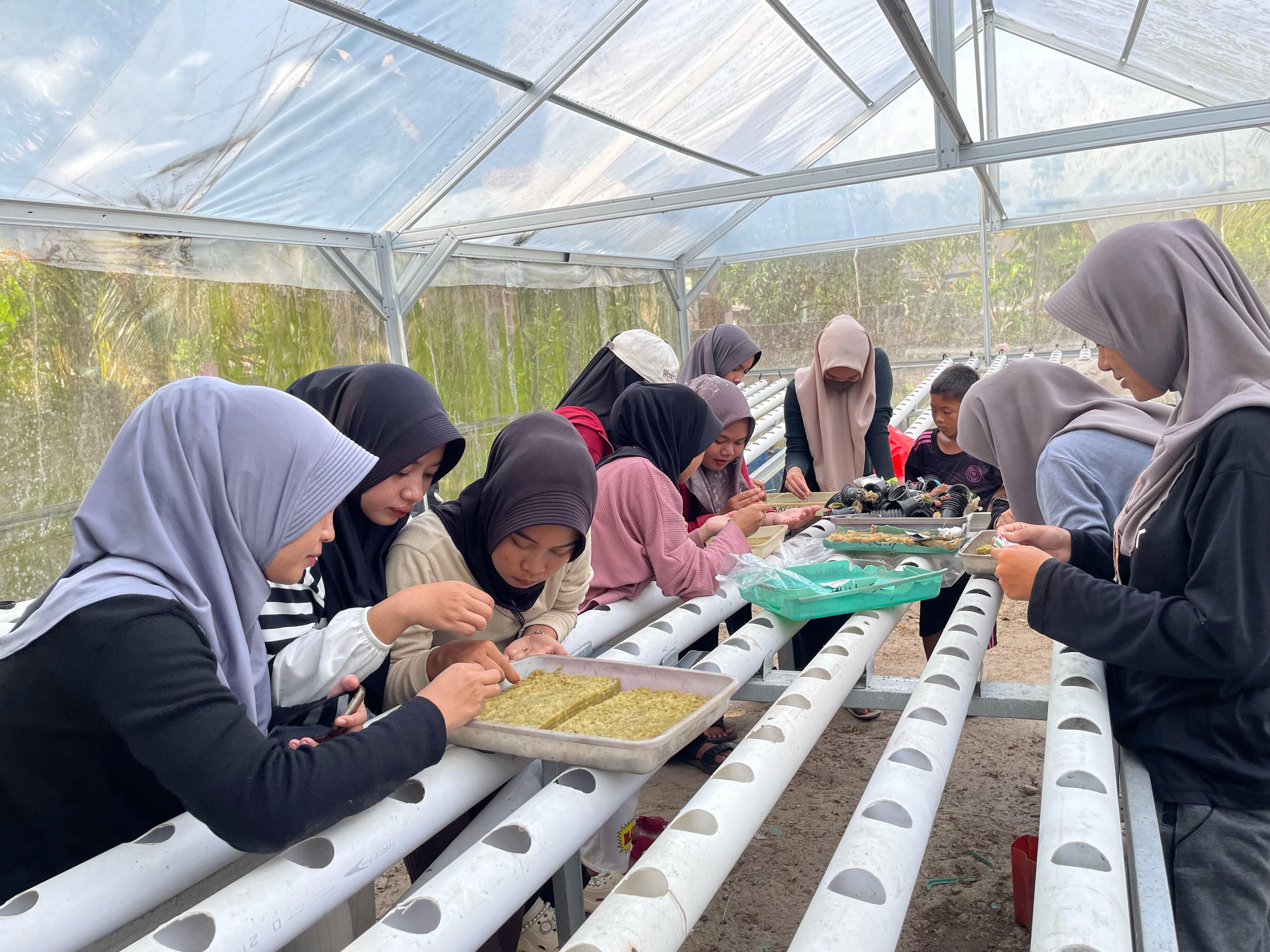 Mahasiswa KKN IAIN SAS Babel Bikin Tanaman Hidroponik di Desa Tanjung Gunung