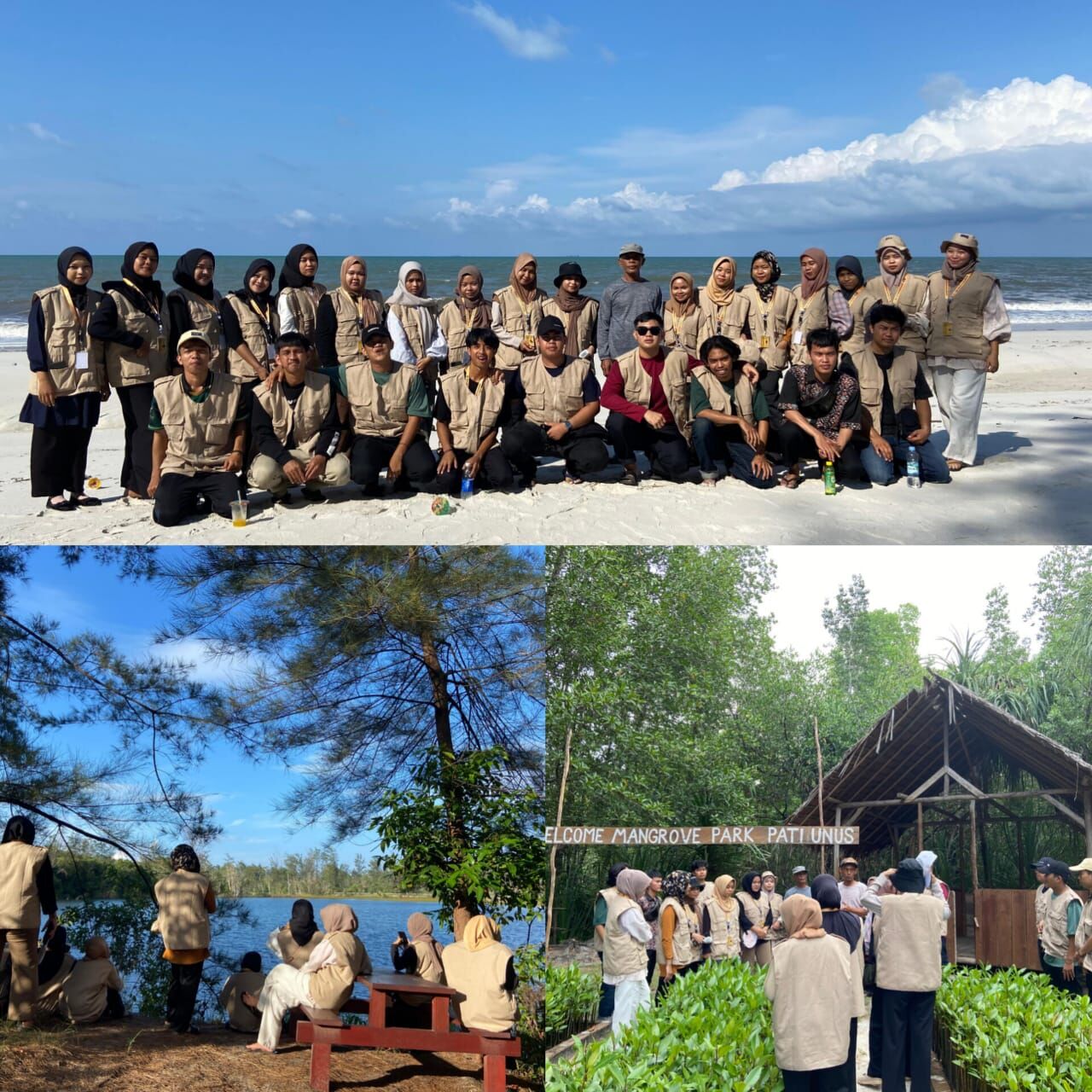 Mahasiswa KKN IAIN SAS Babel Lakukan Observasi Mangrove di Desa Sukamandi