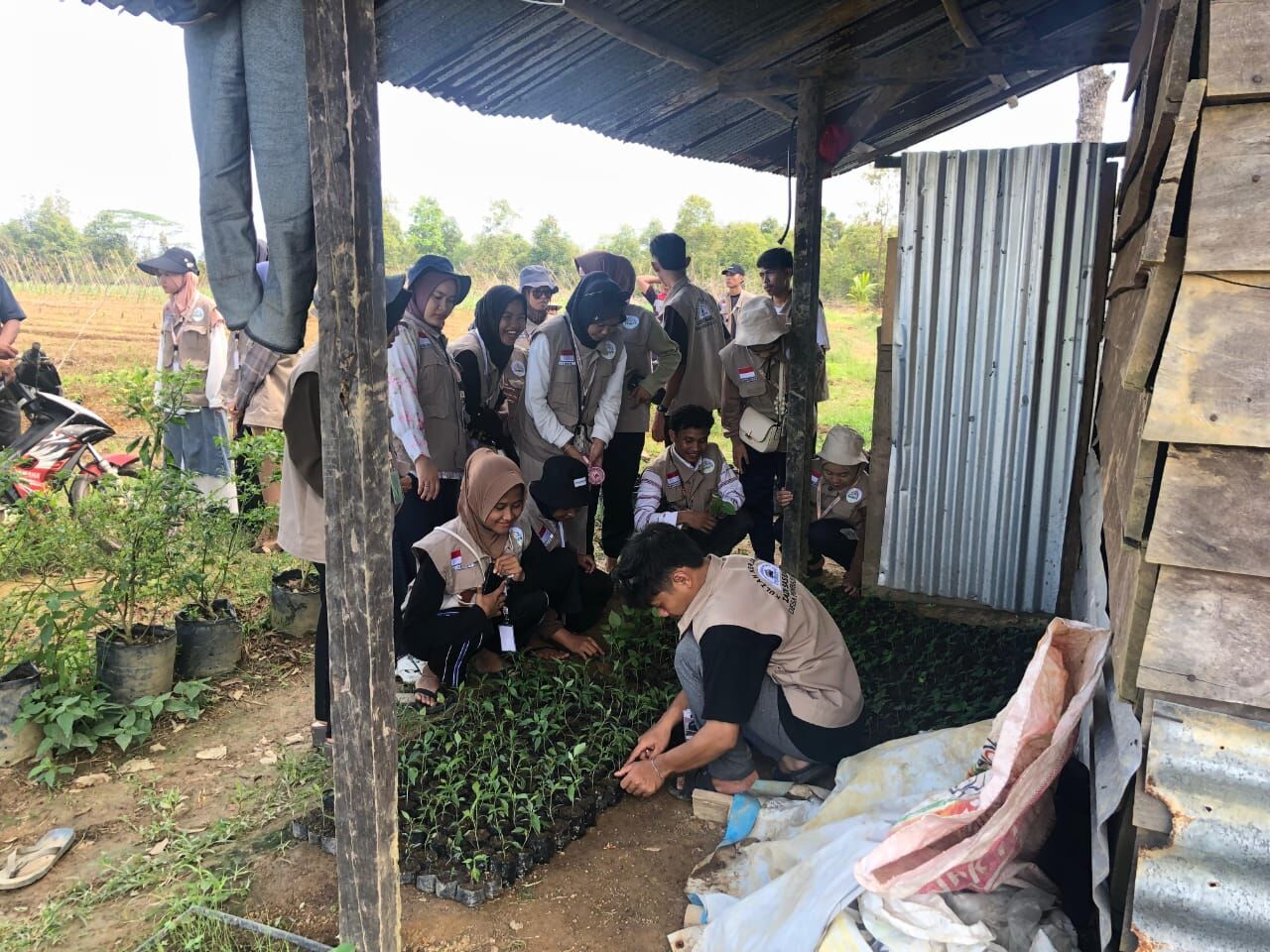 Mahasiswa KKN IAIN SAS Bersama Masyarakat Observasi Potensi Pertanian dan Perkebunan di Desa Pembaharuan