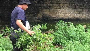 Upayakan Kebersihan Lingkungan, Mahasiswa KKN IAIN SAS Babel Lakukan Kerja Bakti Bersama Masyarakat