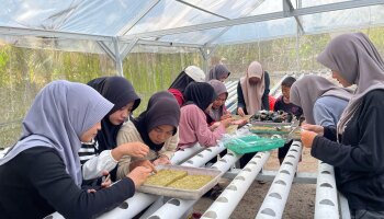 Mahasiswa KKN IAIN SAS Babel Bikin Tanaman Hidroponik di Desa Tanjung Gunung