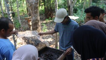 Mahasiswa KKN IAIN SAS Babel Lakukan Kunjungan Ke Budidaya Madu Kelulut di Desa Air Menduyung