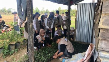 Mahasiswa KKN IAIN SAS Bersama Masyarakat Observasi Potensi Pertanian dan Perkebunan di Desa Pembaharuan