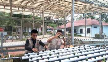 Mahasiswa KKN Ketahanan Pangan IAIN SAS Babel Kembangkan Aquaponik di Lingkungan Lanal Babel