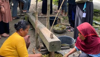 Mahasiswa KKN Melayu Serumpun Diminta Angkat Potensi Pembuatan Gambir di Desa Sembuang