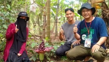 Mahasiswa KKN Kunjungi  Mekarnya Tanaman Langka dibelakang Rumah Warga